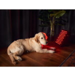 panel-led-mitolight-intro-terapia-swiatlem-czerwonym-i-podczerwienia-5