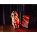 panel-mit-light-mitohacker-starter-5.0-3