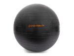 Stick Mobility Exercise Ball piłka do ćwiczeń 55 cm