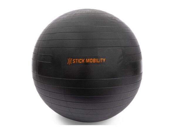 Stick Mobility Exercise Ball piłka do ćwiczeń 55 cm